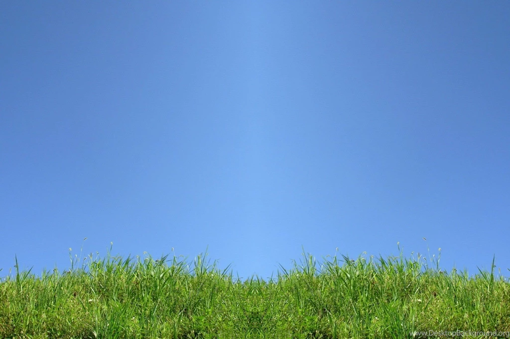 Grass Wallpapers Green Blue Wallpapers