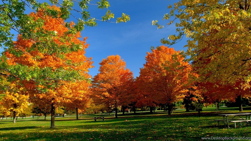 Orange autumn 1920×1080 hdwallpapers.us
