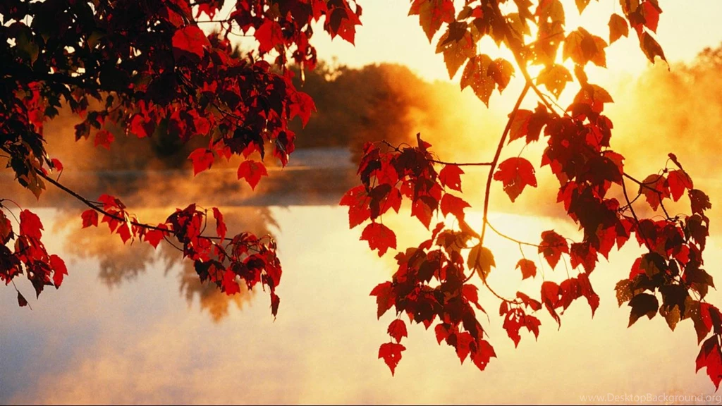 Widescreen 1366x768 HD Wallpapers