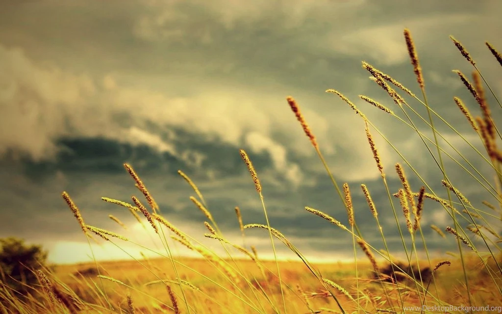 Vintg How About Some Ye Olde Vintage