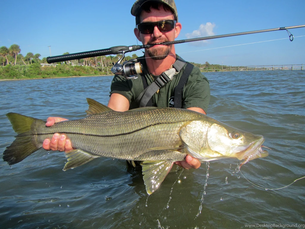 Snook Are On Fire