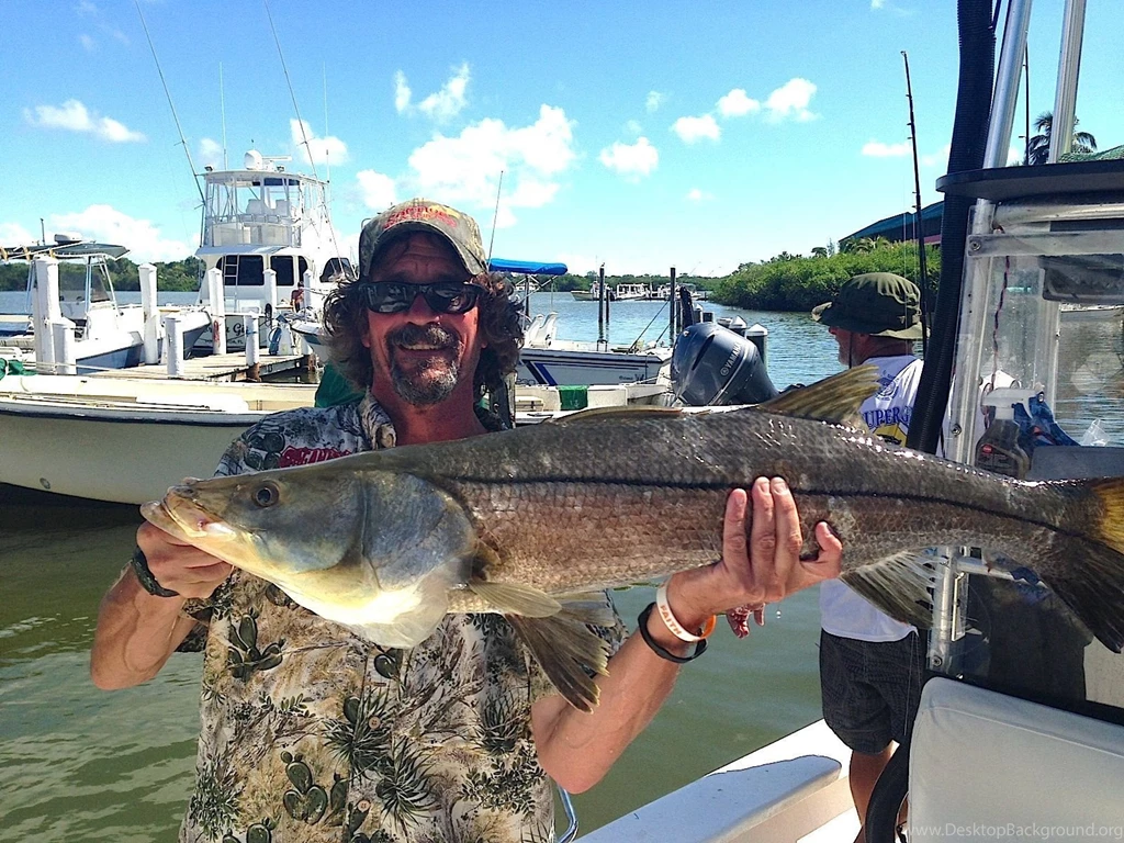 11/2/13, Fort Myers Fishing Report: Snook, 'Tween Waters Marina ...