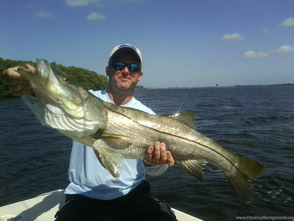 Louisville Fisherman Lands 45 Inch Snook In Lower Tampa Bay ...