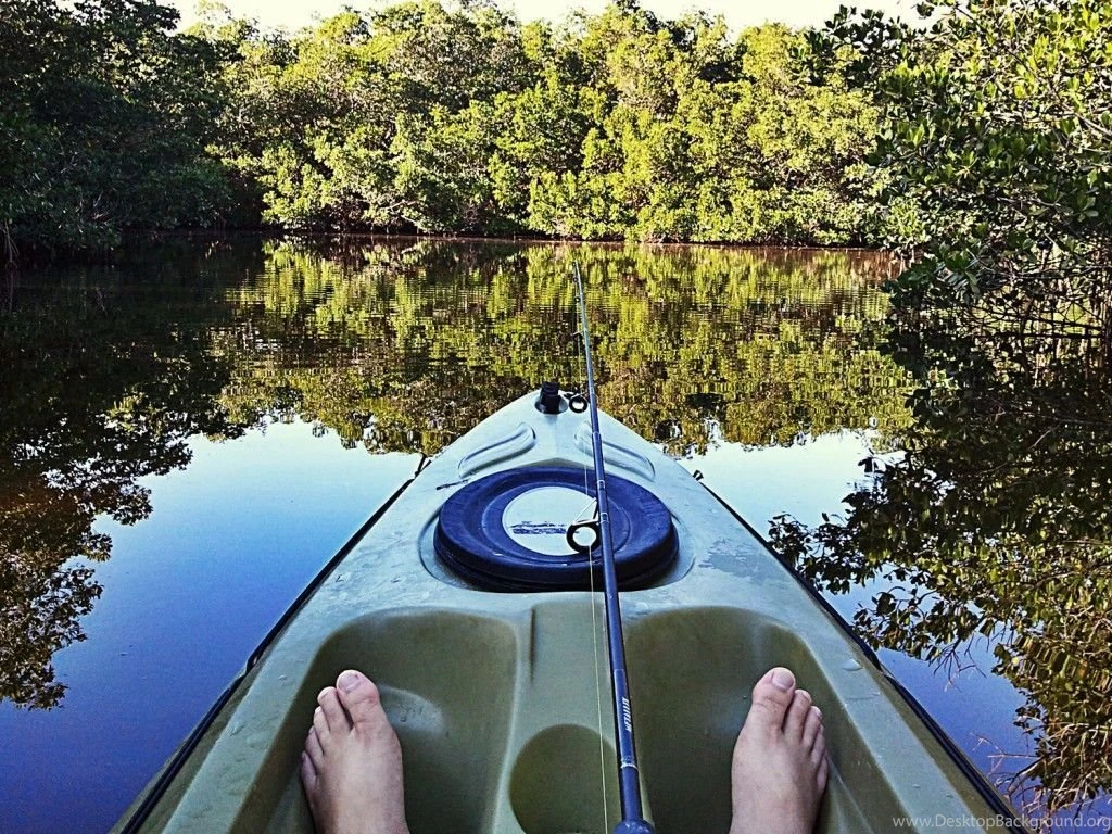 HD Looking For Snook Florida Sportsman