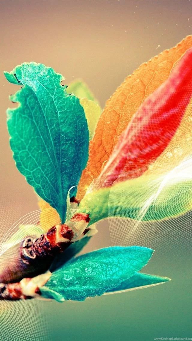 Hd Phone Wallpapers Fantastic 2019 HD Backgrounds