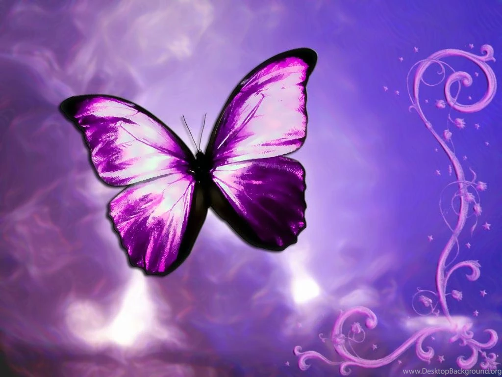 Blue Butterfly Wallpapers Hd