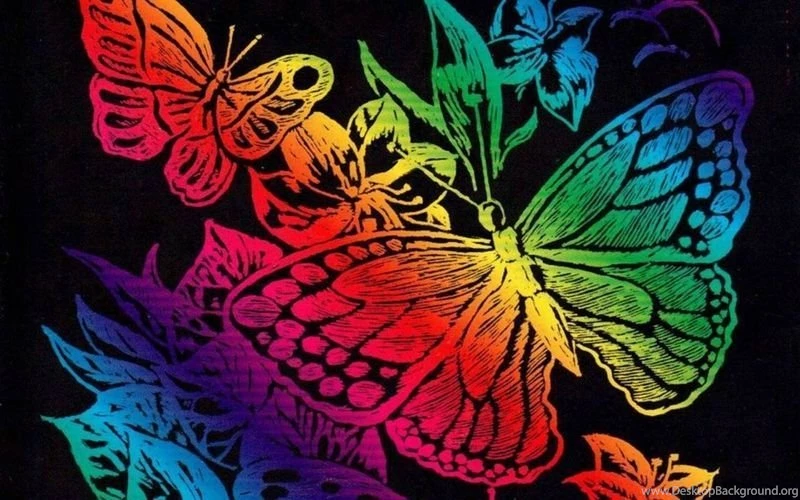 Colorful Butterfly HD Large Wallpapers