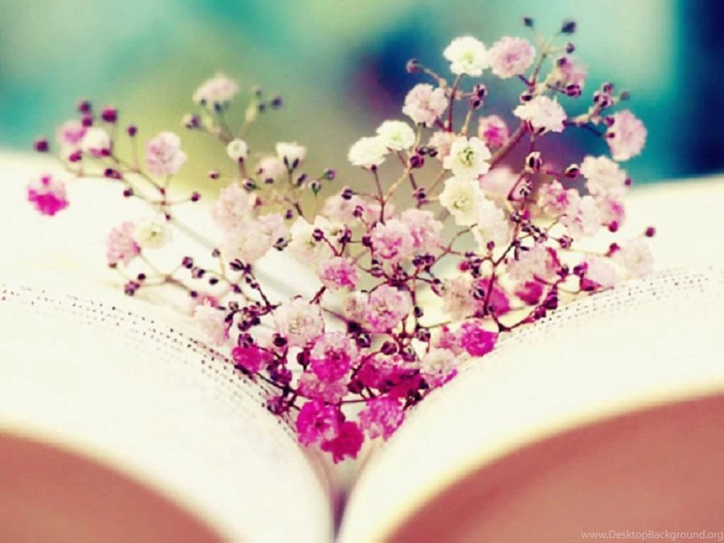 Book Wallpapers Reading Wallpapers (32699170) Fanpop