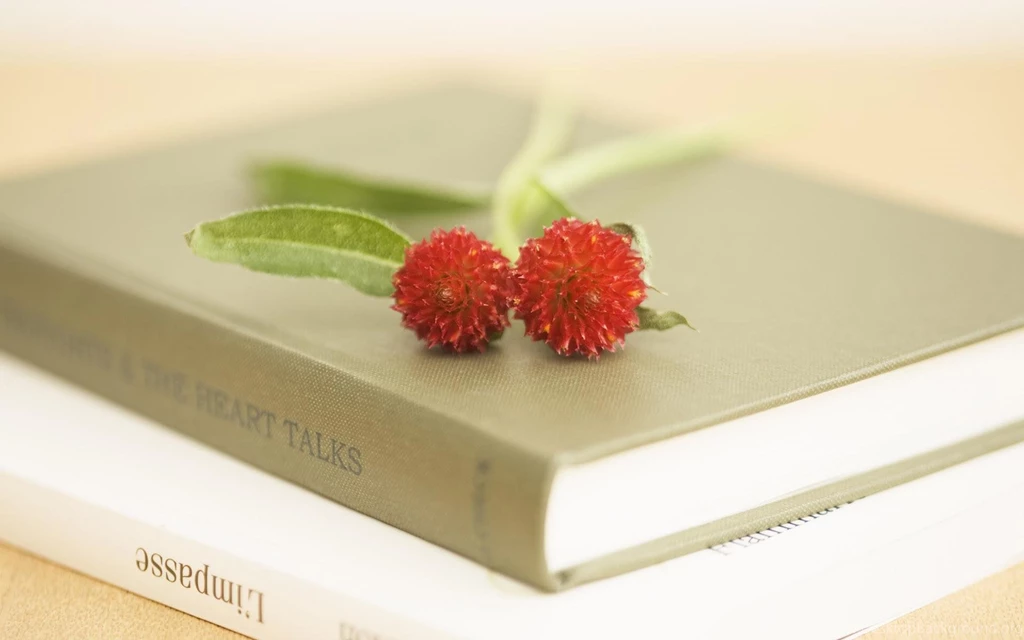 Books Wallpapers Books To Read Wallpapers (10663758) Fanpop
