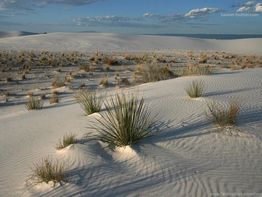 New Mexico Wallpapers   161223