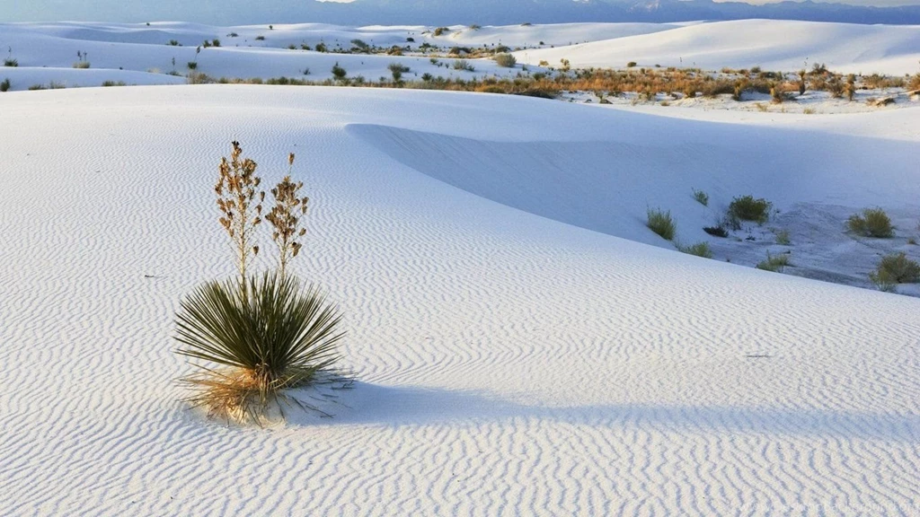 Desktop Wallpapers White Sands, New Mexico Nature
