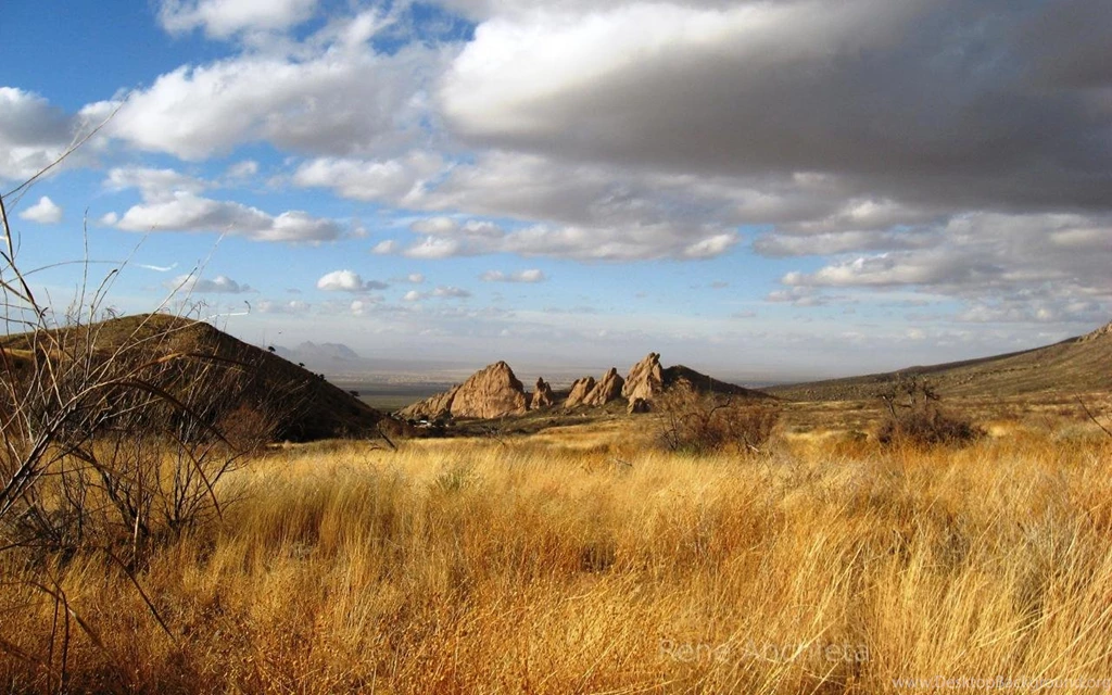 Nature Pic Of The Day   2011 01 29   Organ Mountains, New Mexico