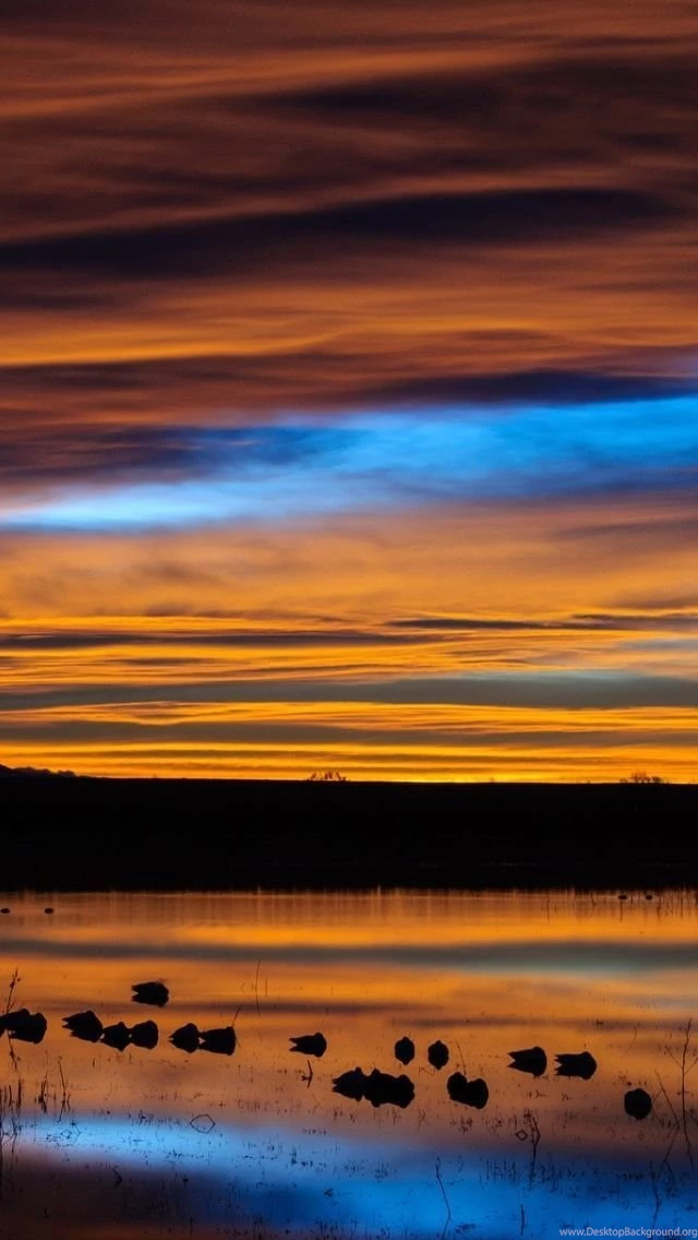 New Mexico Sunset Reflection iPhone 5s Wallpapers Download