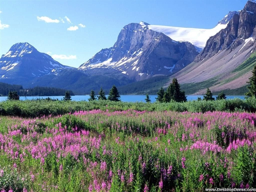 Desktop Wallpapers » Natural Backgrounds » Bow Lake, Canadian ...