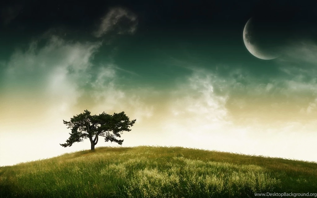 Tree And Moon Great Desktop Backgrounds High Quality Wallpapers ...