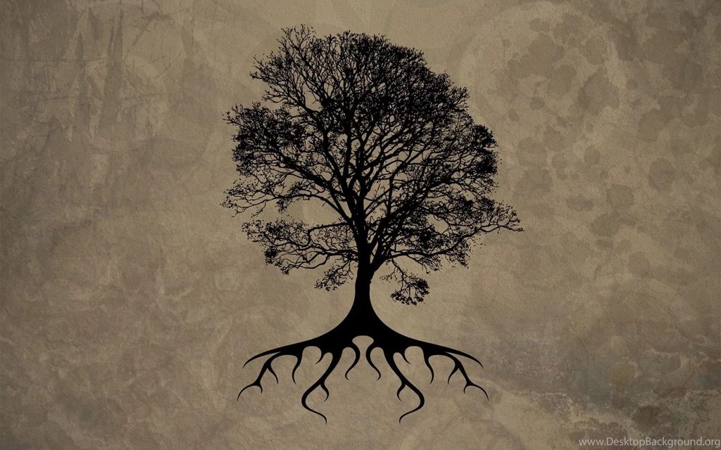 Tree Silhouette HD Wallpapers