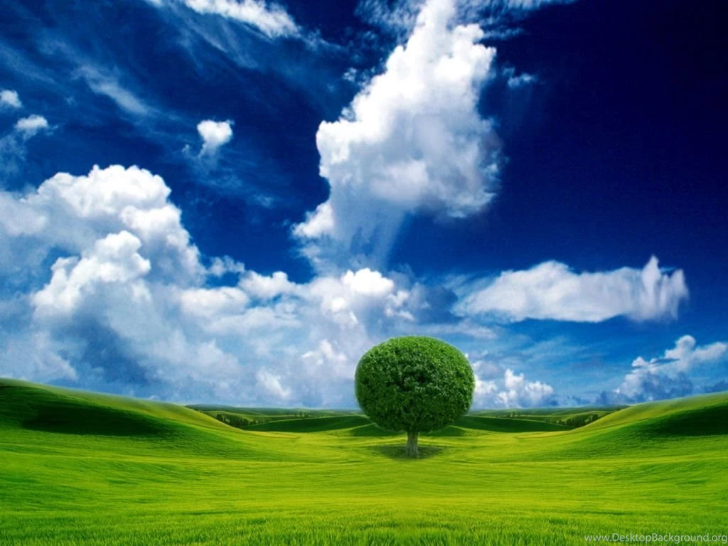 Windows Tree
