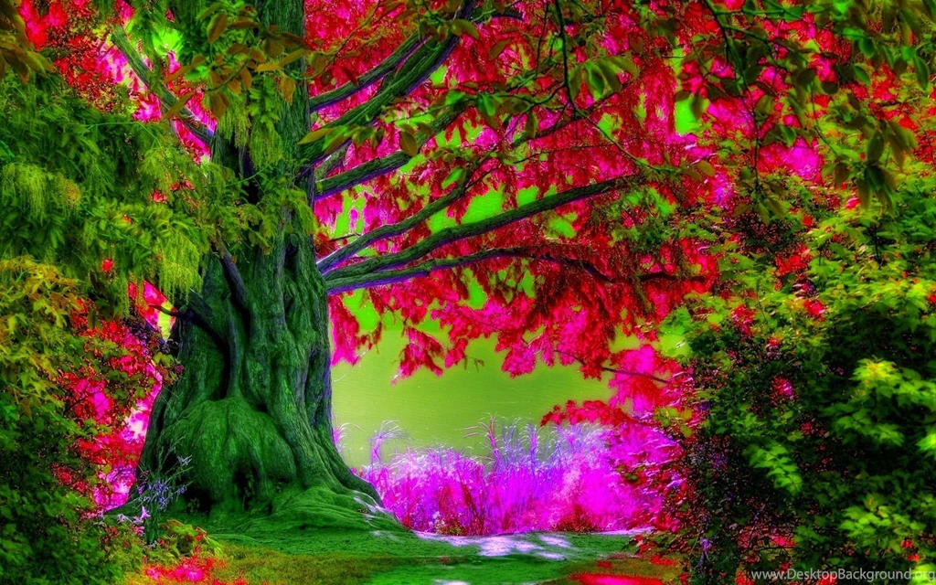 Free Tree Desktop Wallpapers Desktop Backgrounds