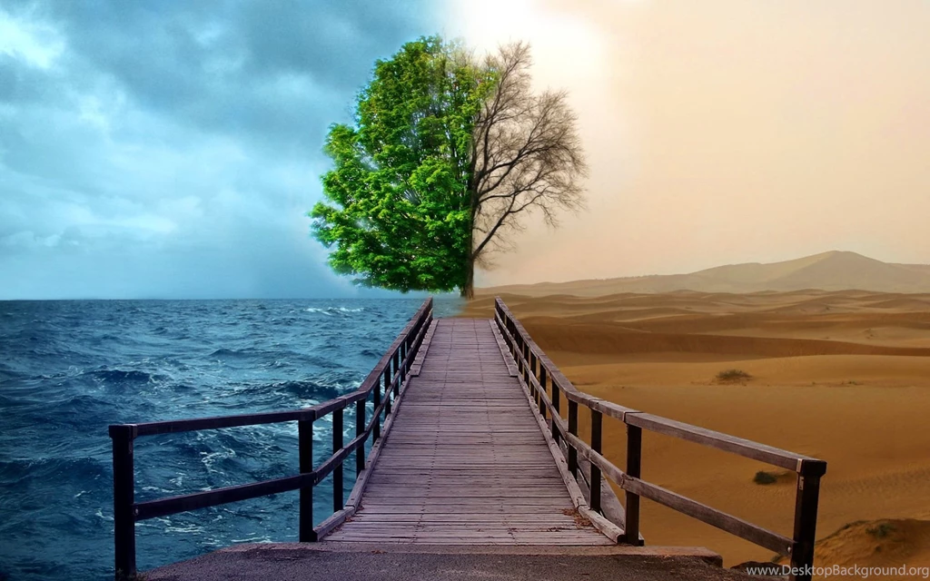 Seasons Fantasy Tree Backgrounds Original : Full HD Desktop ...