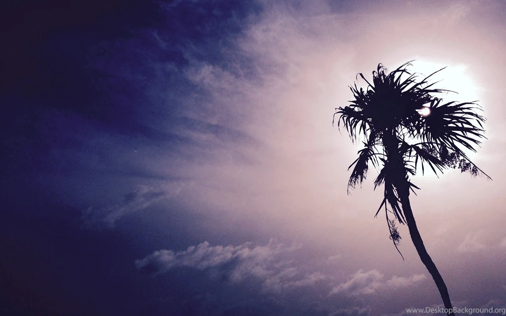 Dark Tree Alone Desktop Wallpapers HD New HD Wallpapers