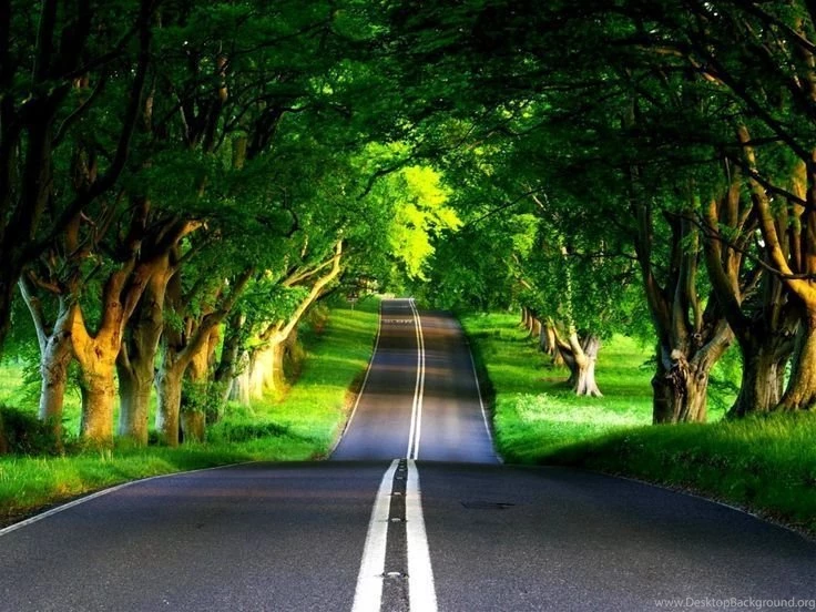 The Right Place To Get Free Animated Backgrounds For Windows XP ...