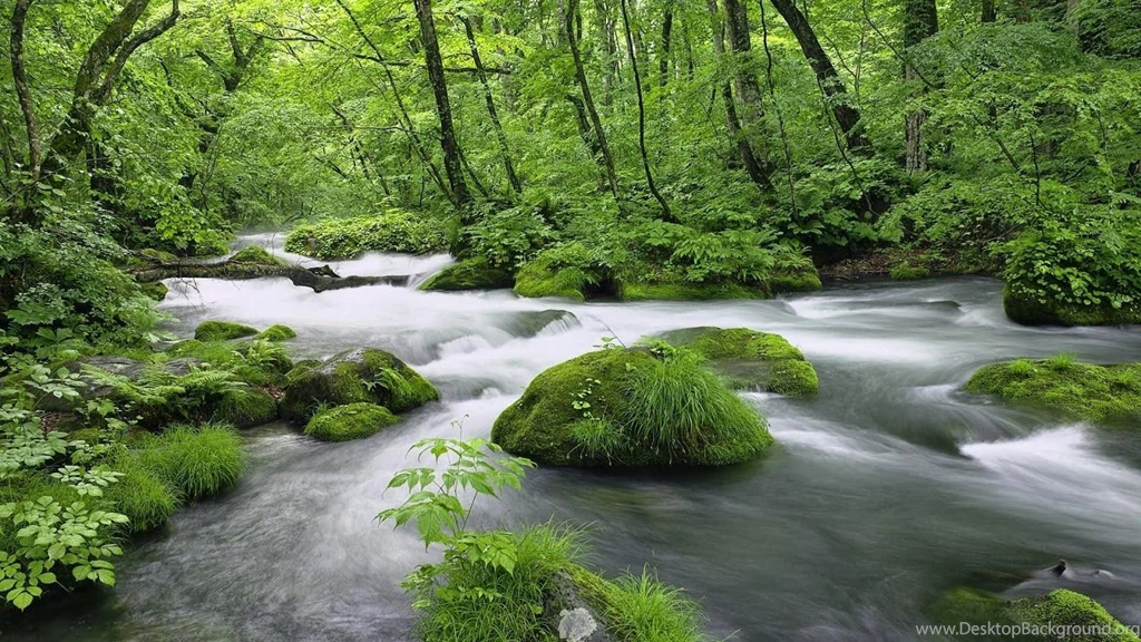 Hd Nature Wallpapers Free Download Desktop Backgrounds