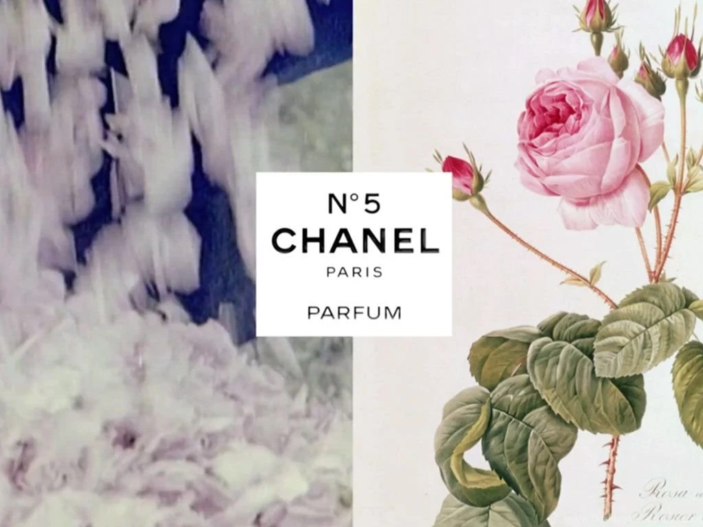 Chanel No. 5 Desktop Wallpapers