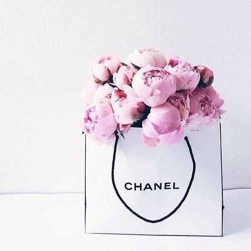 Chanel, Flowers, Hipster, Room, Roses, Tumblr Image