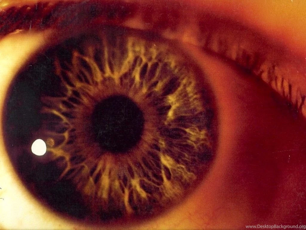 Curiosity   The Cure Backgrounds