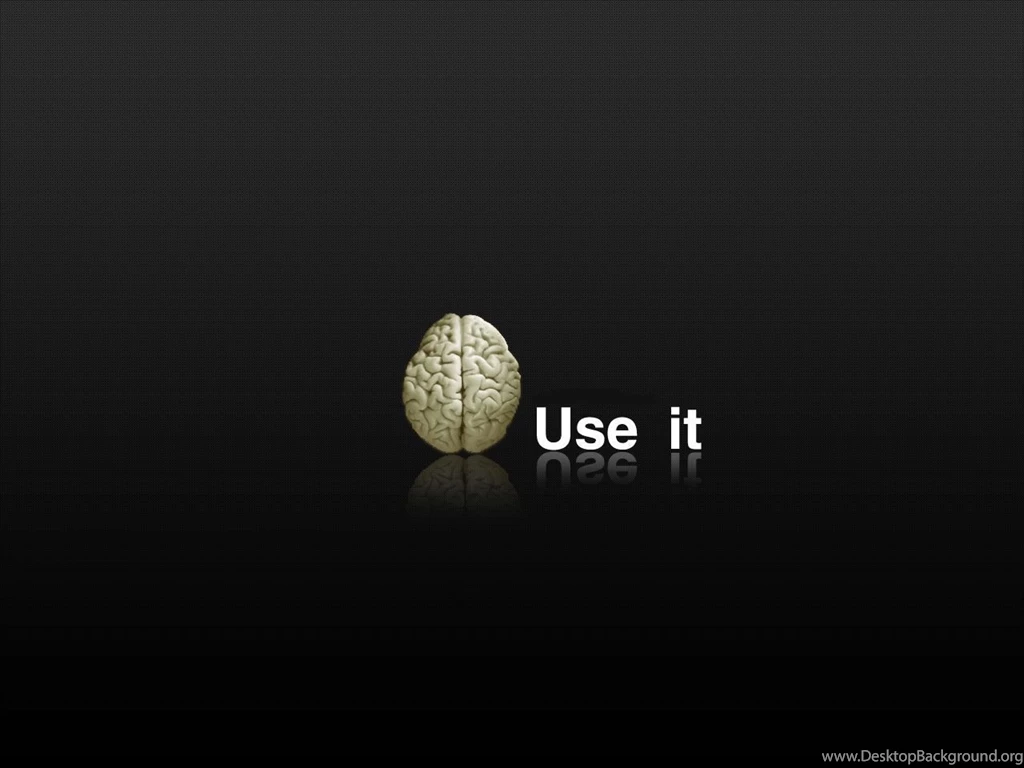 Gallery For Funny Wallpapers Pictures