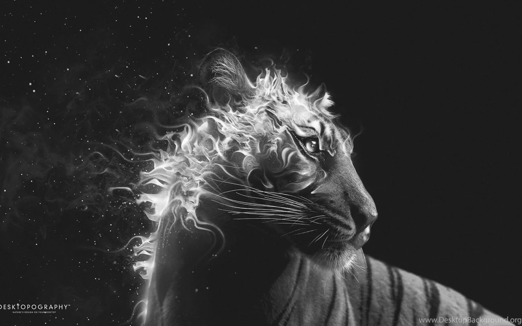 Creative & Graphics Black And White Tiger Fire Wallpaper. Black ...