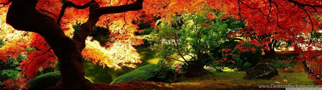 Hd Fall Desktop Backgrounds Hd Fall Foliage Desktop Backgrounds ...