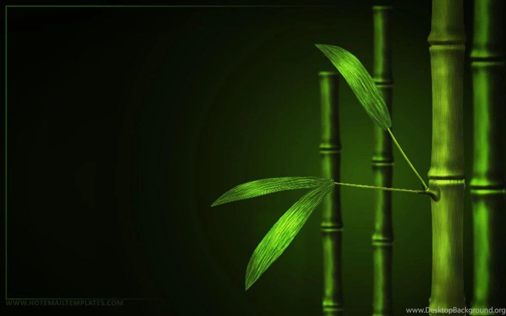 Gallery For   Free Bamboo Desktop Wallpapers
