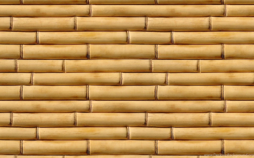 Brown Flowers Wallpapers HD