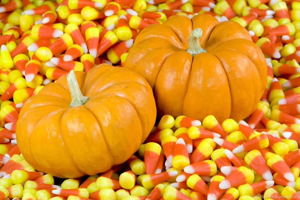 Gallery For Autumn Pumpkin Desktop Wallpapers