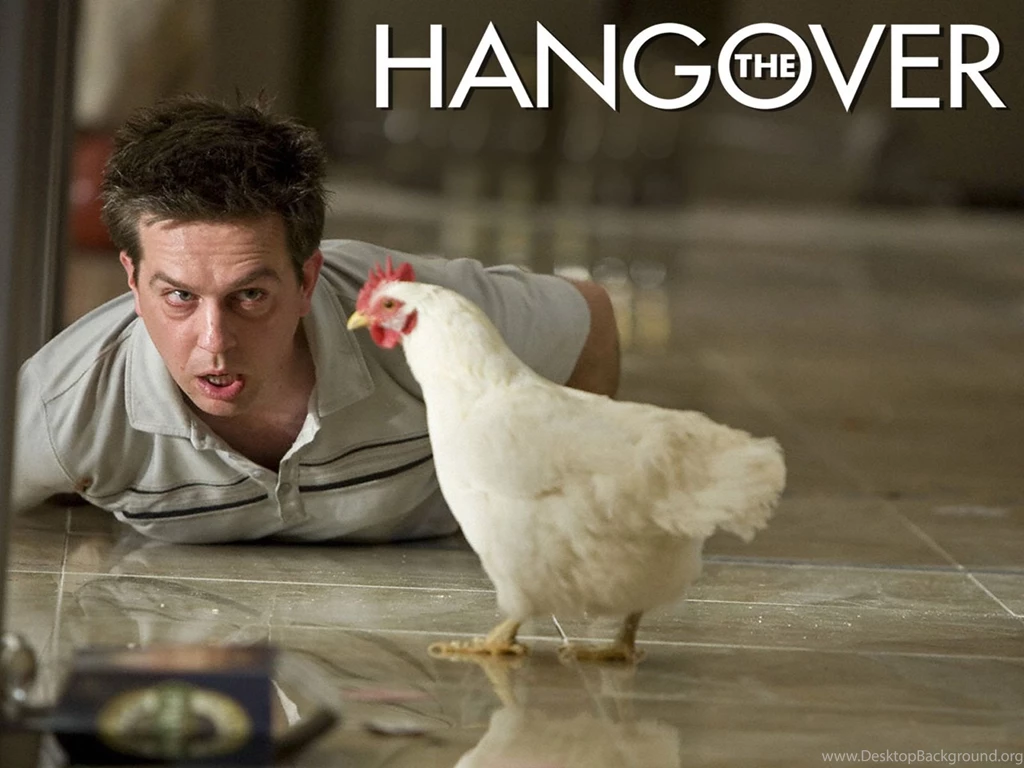 Free Torrent The Hangover Movie Computer Desktop Wallpapers