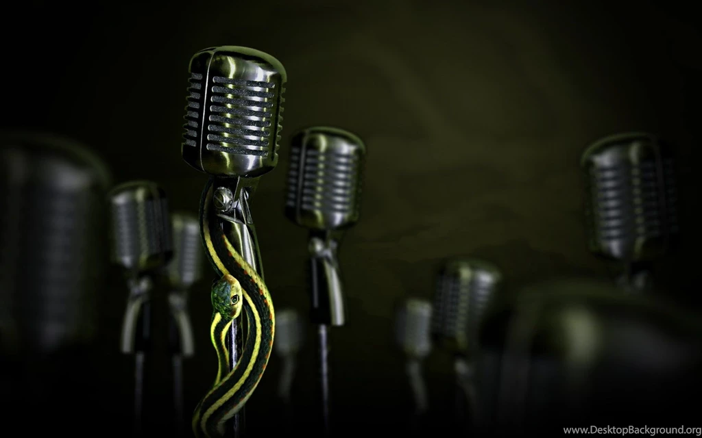 Snakes On Microphone Computer Wallpapers, Desktop Backgrounds ...