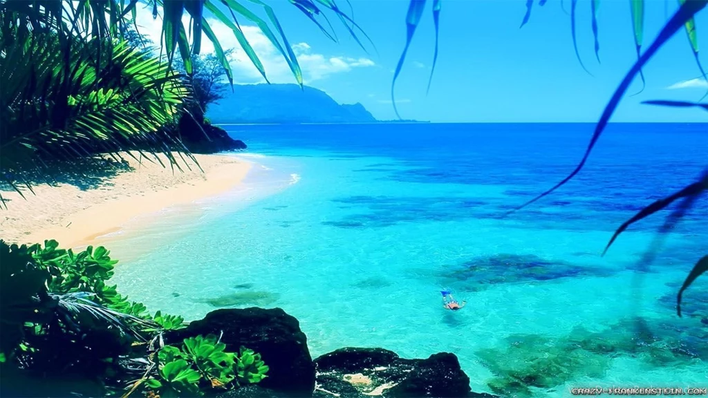 Summer Wallpapers 3 Best Wallpapers Collection