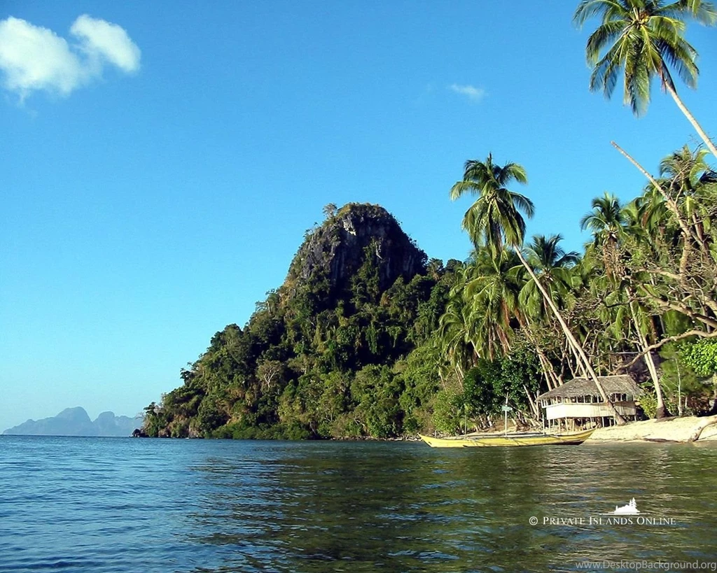 Background wallpaper.jpg