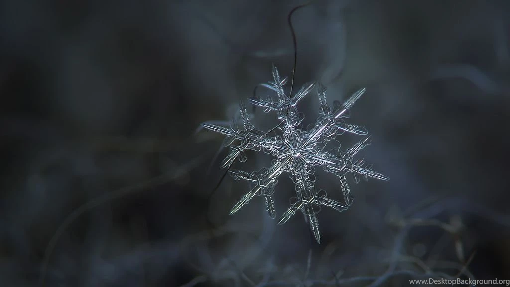 Rigel, Snowflake Desktop Wallpapers
