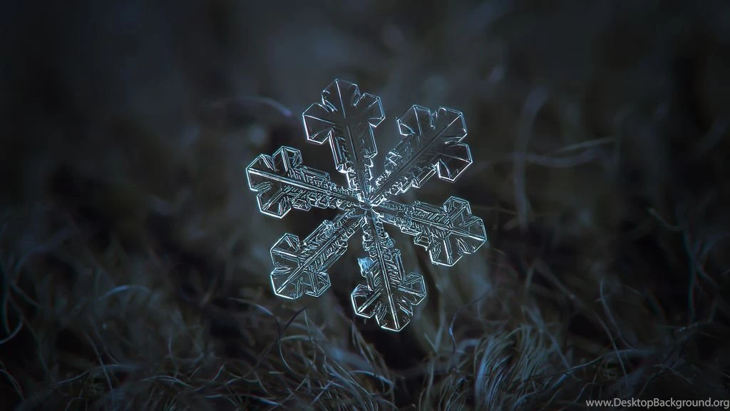 Vega, Snowflake Desktop Wallpapers