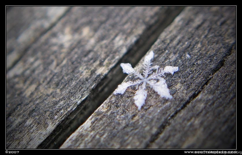 Stafezariz: Snowflake Wallpapers