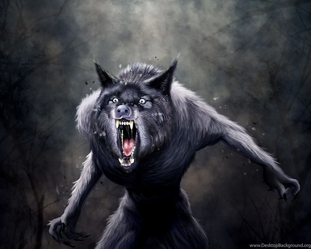 Gallery For Werewolf Wallpapers