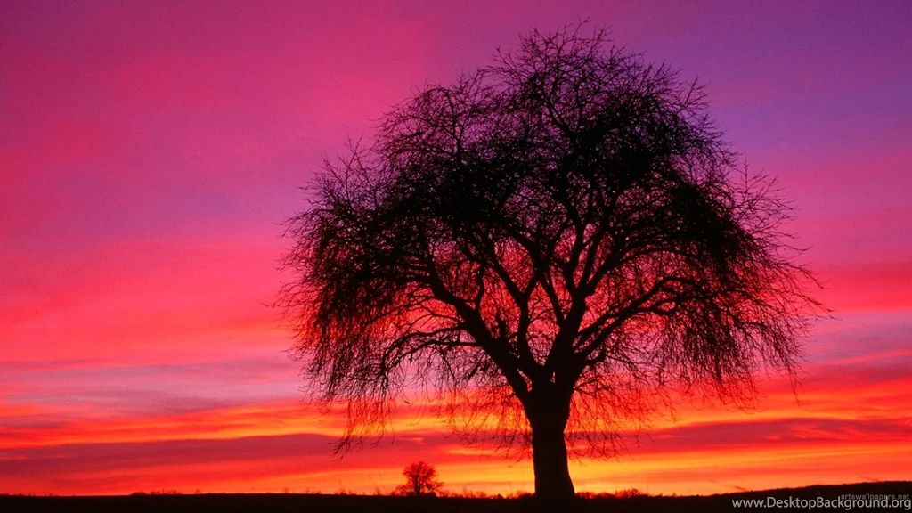 Cute_desktop wallpaper 1920x1080 full hd
