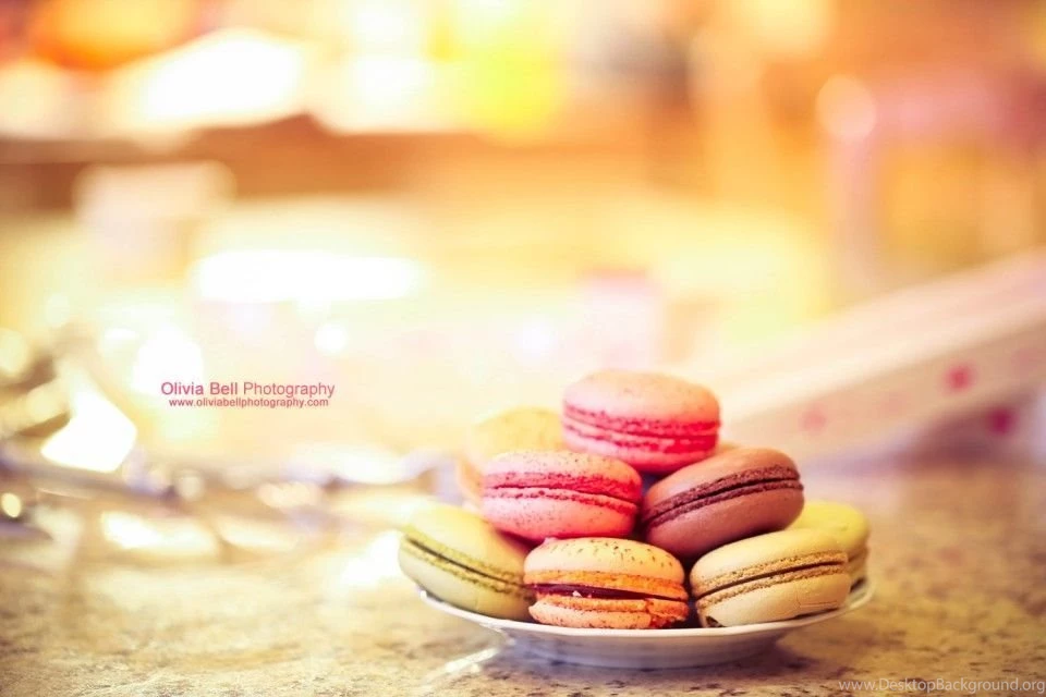 Multicoloured Macaroons (Photo Series) Olivia Bell Photography