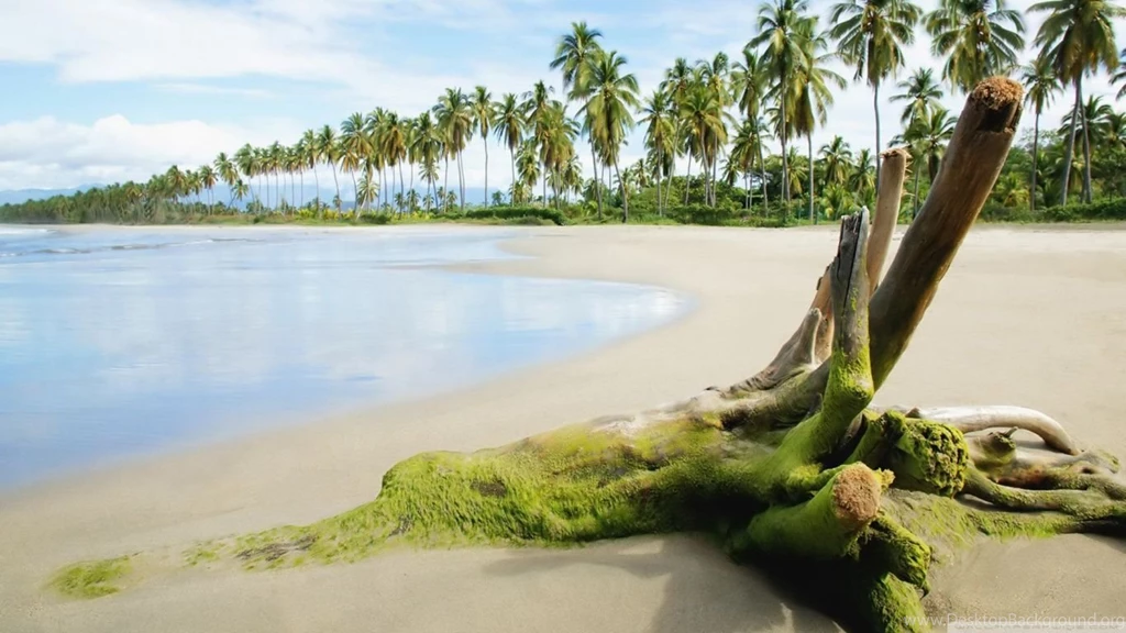 Sea Beach HD Desktop Wallpapers : High Definition : Fullscreen : Mobile
