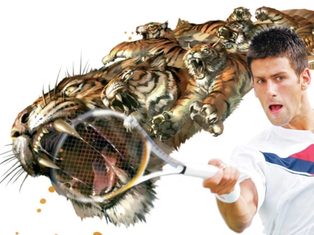 Djoko novak djokovic 15320493 1024 768.jpg