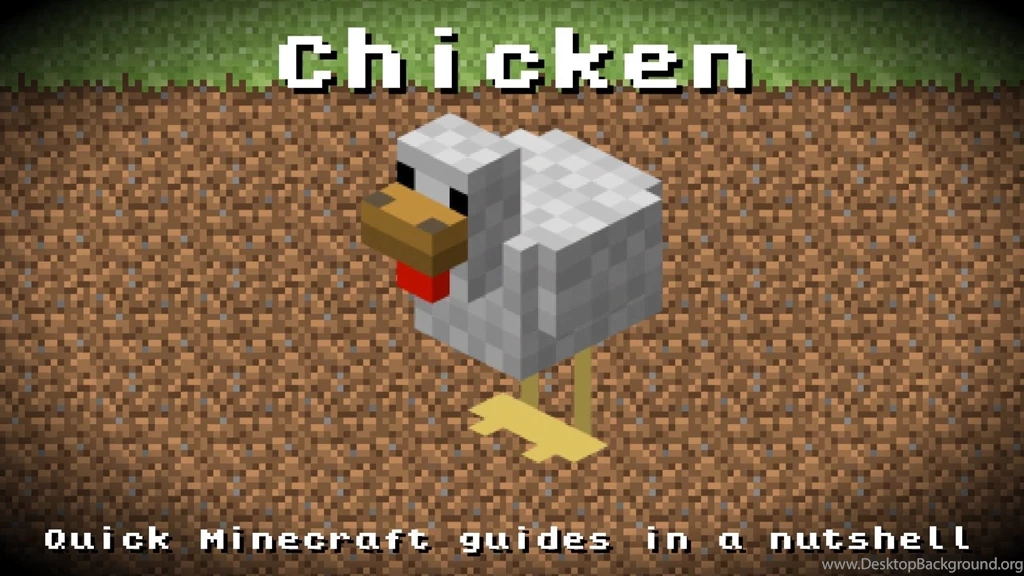 Minecraft Chicken! Breeding, Health Points, Experience, Drop ...