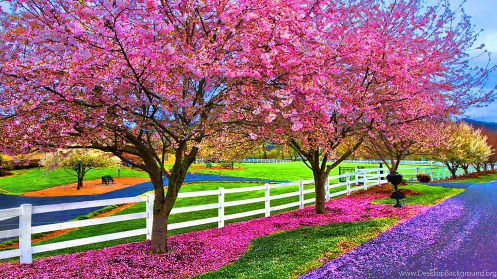 A Beautiful Spring Day Computer Wallpapers, Desktop Backgrounds ...