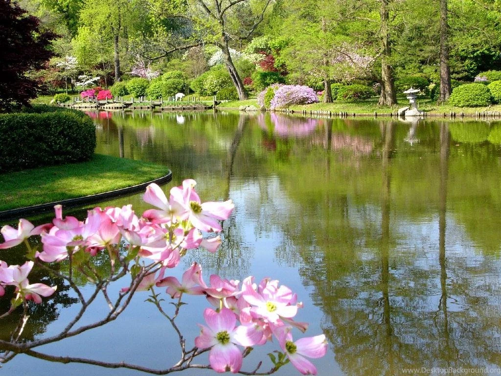 Spring Wallpapers For Desktop